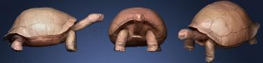3D мадэль Галапагосская черепаха (STL)